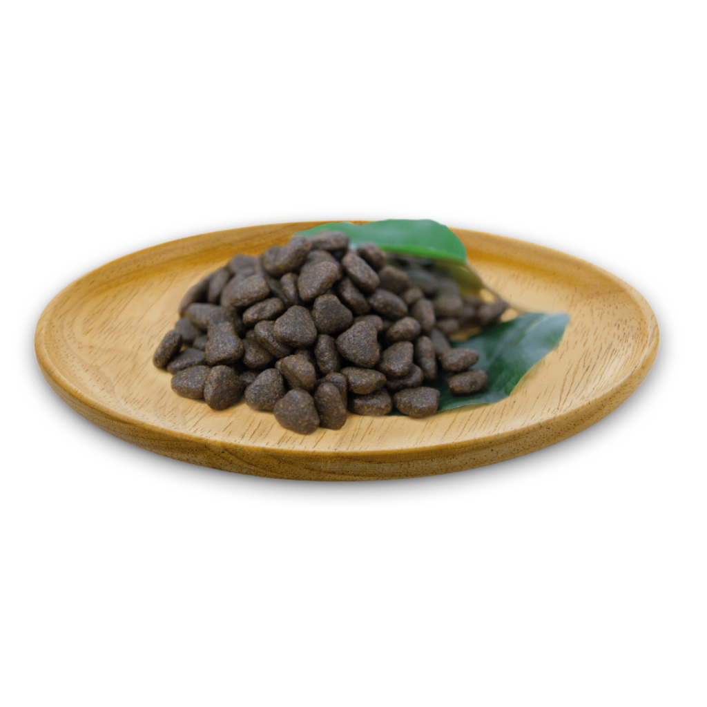 Monoproteinska hrana za pse brez žitaric Natural Greatness z okusom lososa za odrasle pse srednjih in velikih pasem