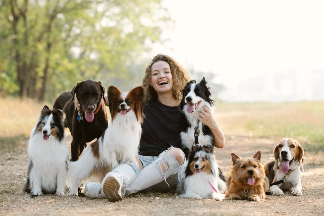 girl with dogs