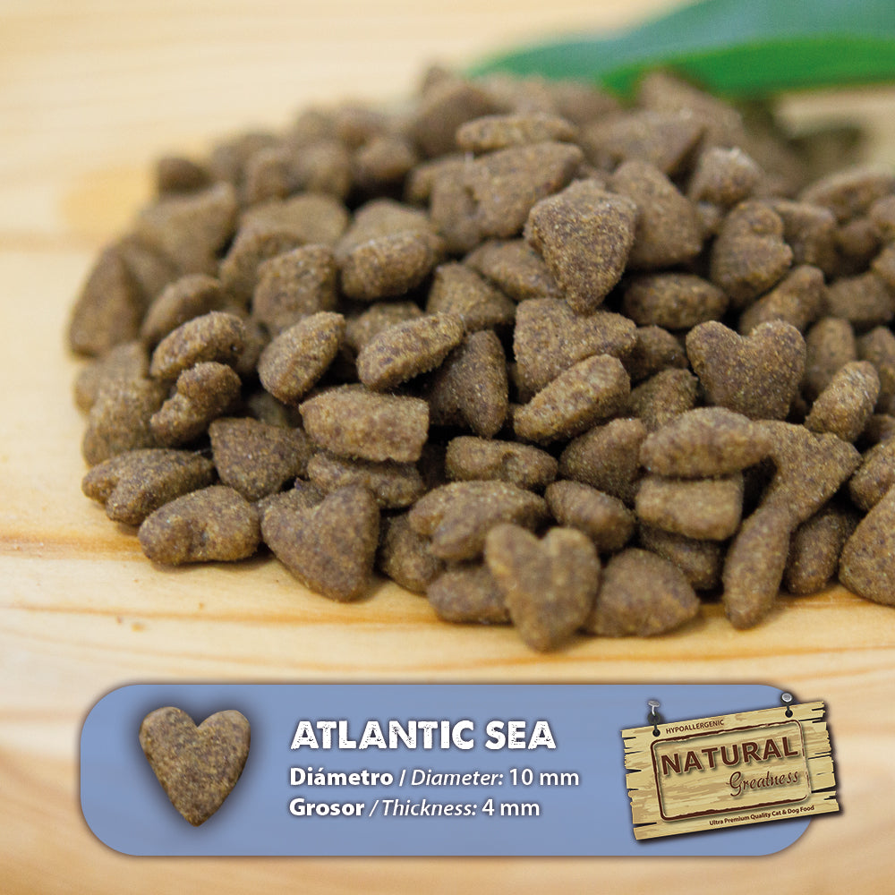 Briketi Natural Greatness Atlantic Sea s prikazom velikosti