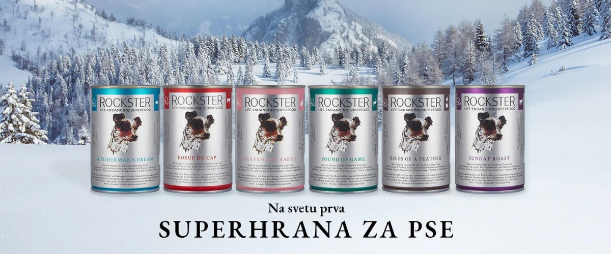 Superhrana za pse