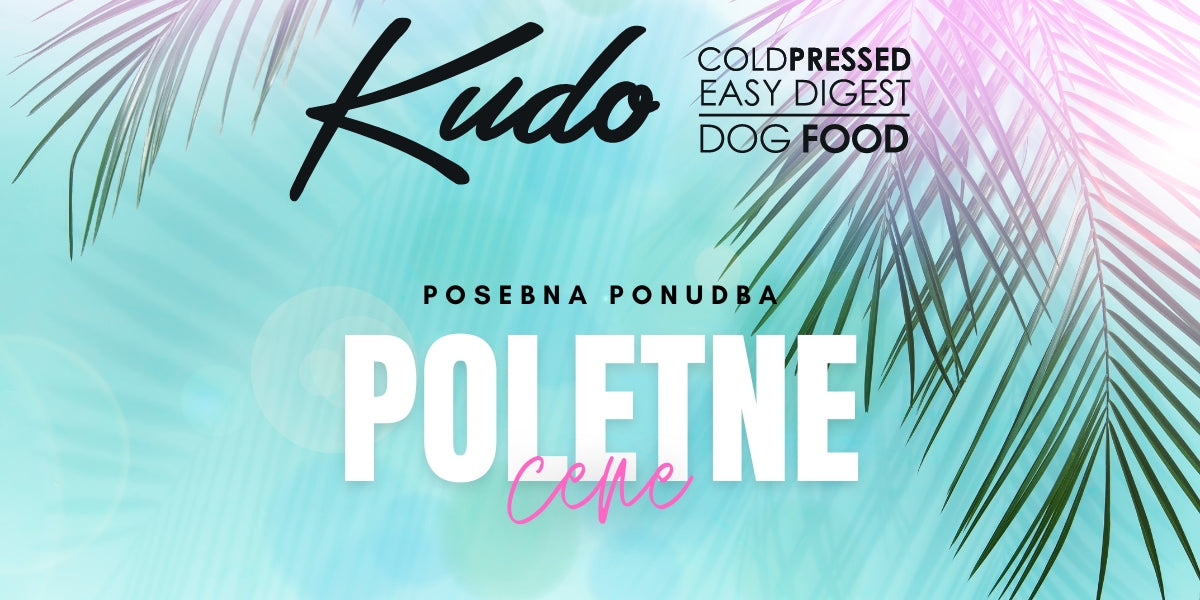 Hrana za pse Kudo - poletne cene, znižanje