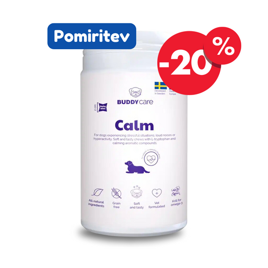 BuddyCare: Calm