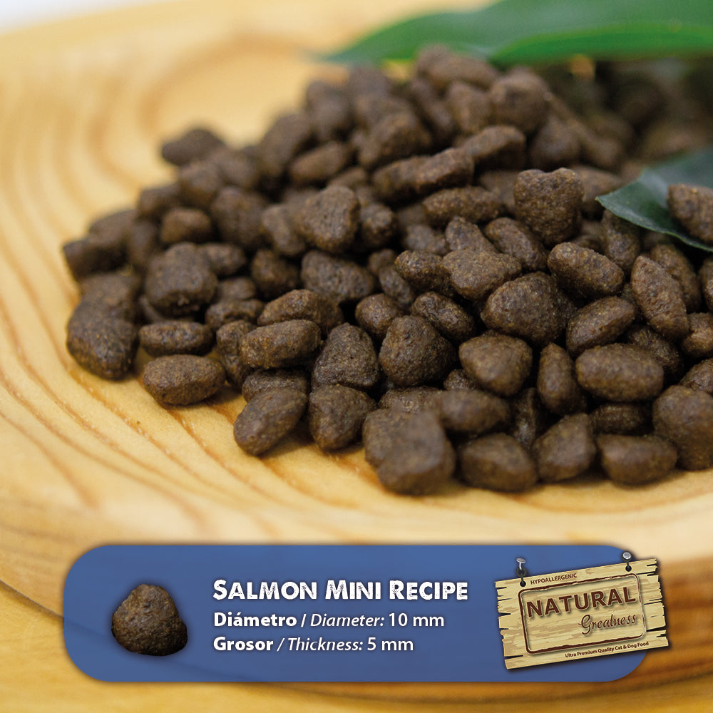 Briketi Natural Greatness Salmon Mini s prikazom velikosti