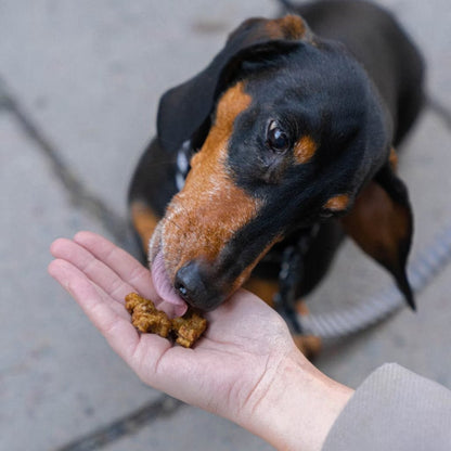 Buddy: Training Snacks - Beef2020802PriboljškiGovedina