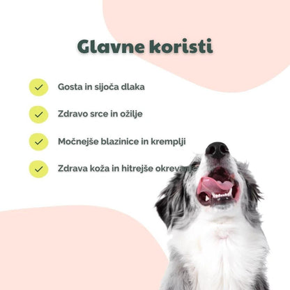 BuddyCare: Lososovo olje2050501Olje